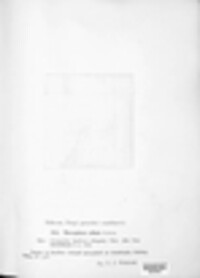 Thecaphora affinis image
